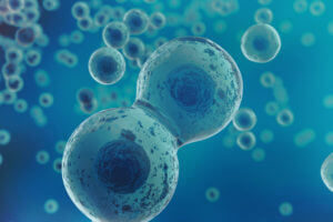 nm-stem-cell