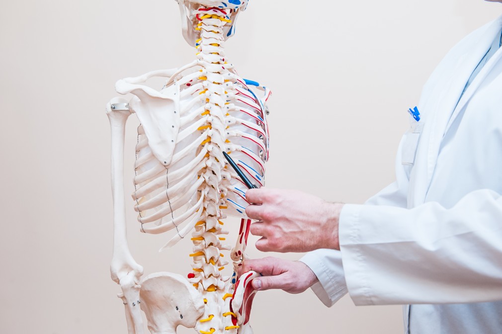 spinal cord examination