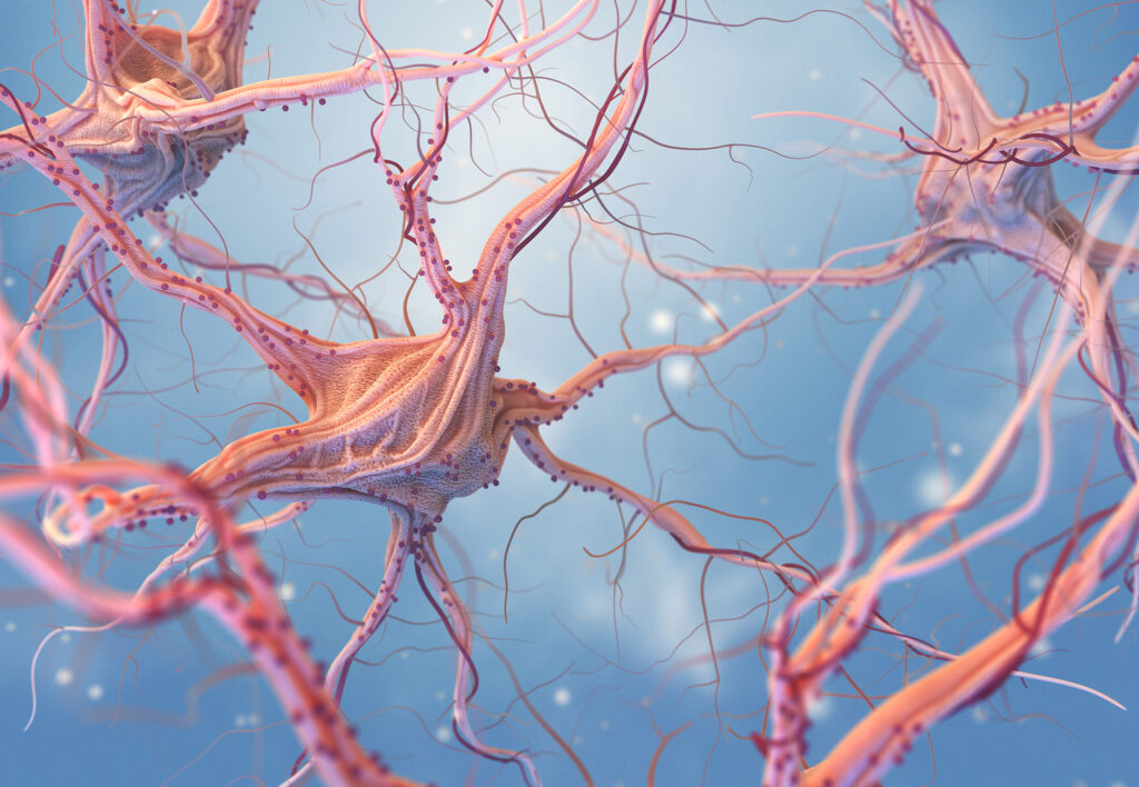 Nervous system affected by multiple sclerosis