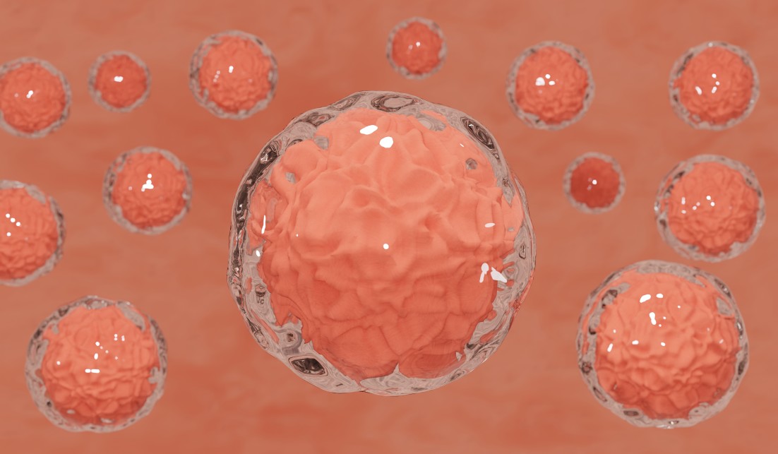 Stem Cells 3D rendering image
