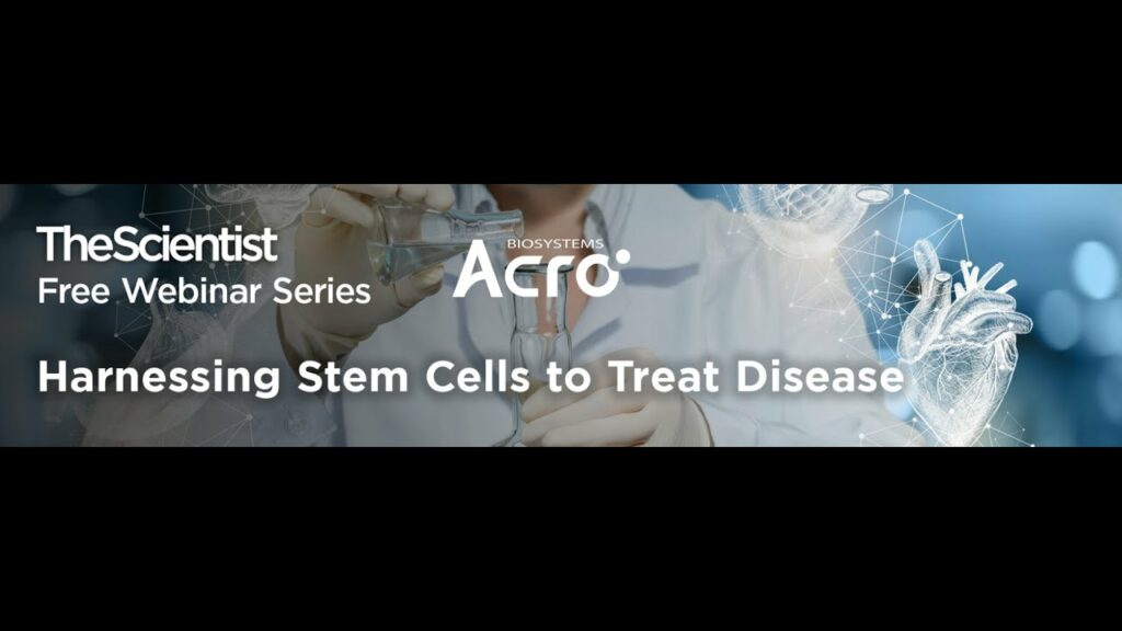TheScientist - harnessing stem cells to treat disease