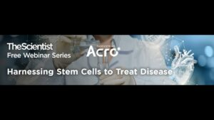 TheScientist - harnessing stem cells to treat disease