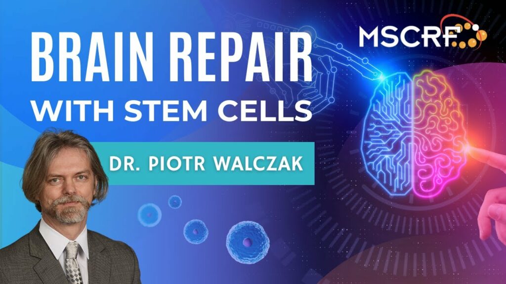 Dr Piotr Walczak - brain repair with stem cells