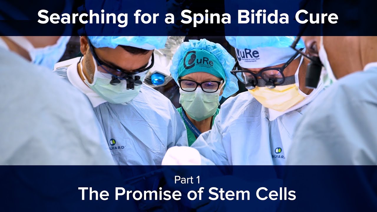 Searching for a Spina Bifida Cure Part 1 - The Promise of Stem Cells