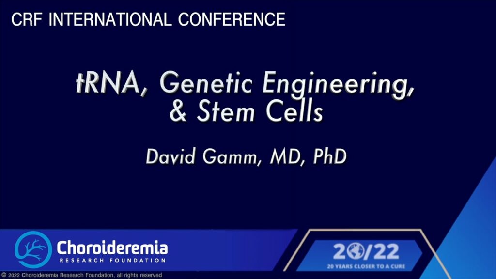 David Gamm - tRNA, genetic engineering, & stem cells