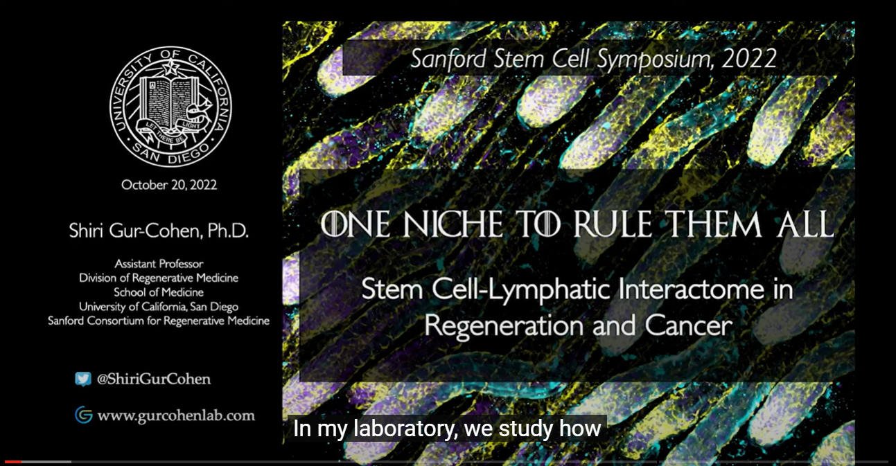 stem cell lymphatic interactome in regeneration and cancer