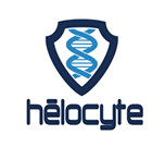Helocyte logo