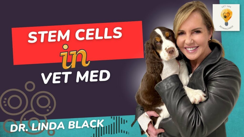 Pet Stem Cell Therapy with Gallant CEO, Dr. Linda Black