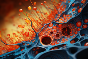 illustration of muscle stem cells