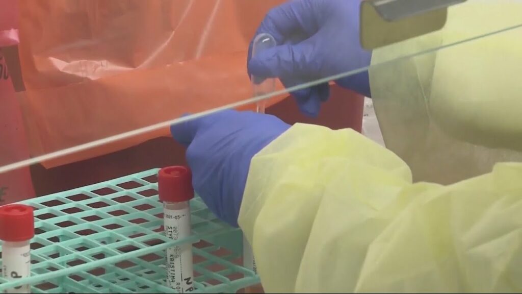 Iowa State researchers make huge discovery for creating blood stem cells in the lab