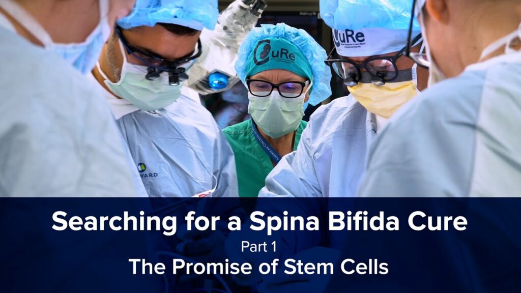Utero Stem Cell Treatment for Spina Bifida