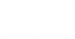 Bozeman Sport and Spine logo