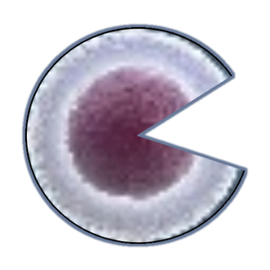 Dakota Stem Cell Institute logo