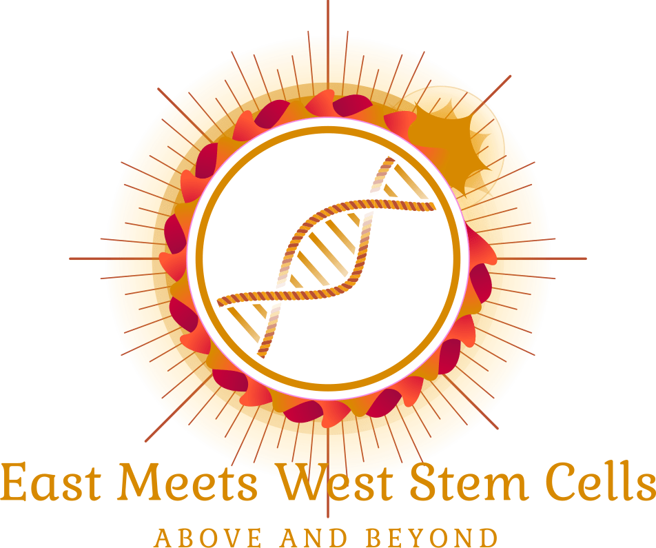 East Meets West Stem Cells logo