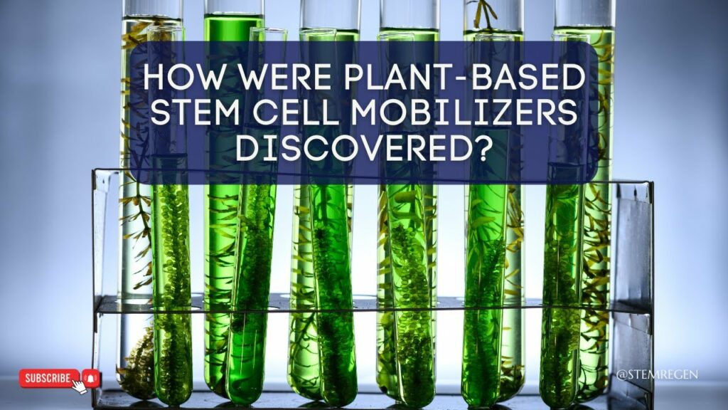how were plant-based stem cell mobilizers discovered