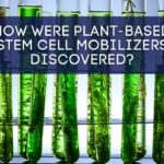 how were plant-based stem cell mobilizers discovered