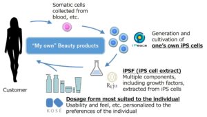 KOSÉ, I Peace, and Reju cell based beauty products