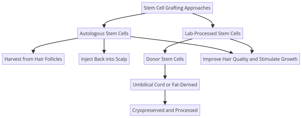 Stem cell grafting approaches for hair restoration