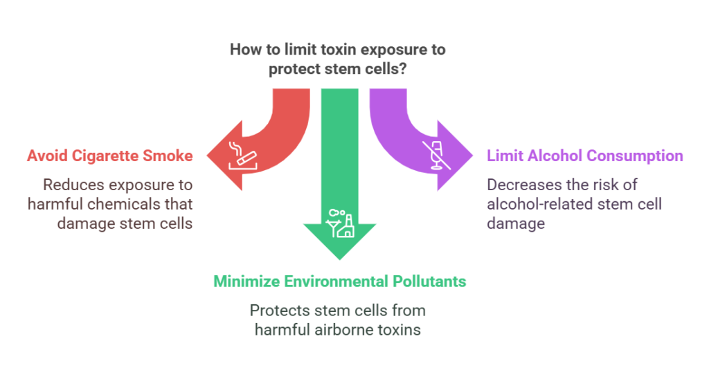 Limit toxin exposure to protect stem cells