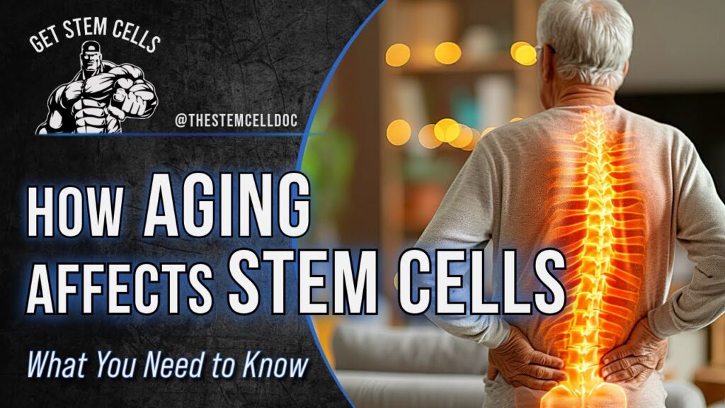 Umbilical Cord Stem Cells vs. Bone Marrow & Fat-Derived Stem Cells