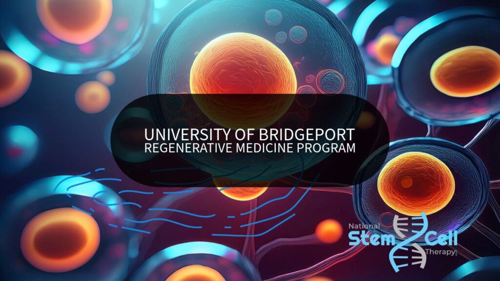 University of Bridgeport Regenerative Medicine Program