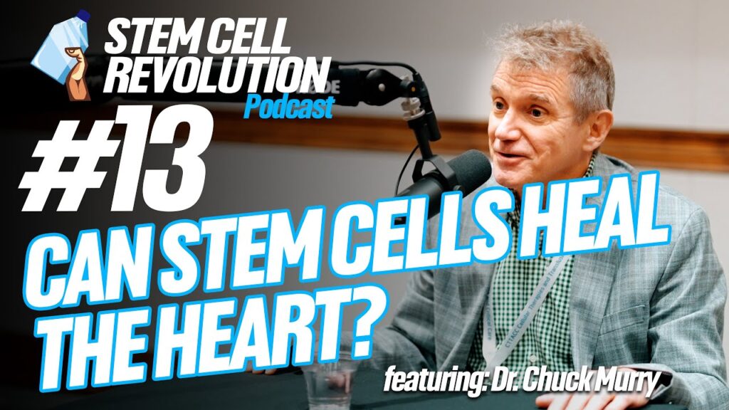 Can Stem Cells Regenerate the Heart? A Conversation with Dr. Chuck Murray
