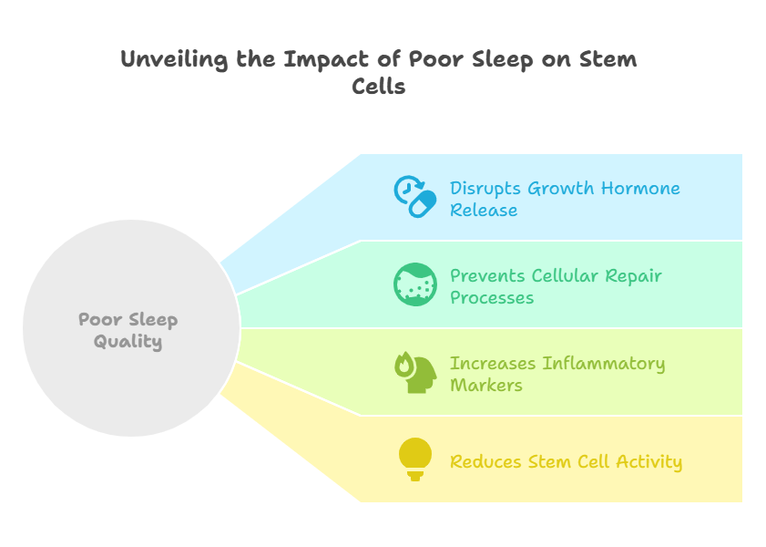 impact of poor sleep on stem cells