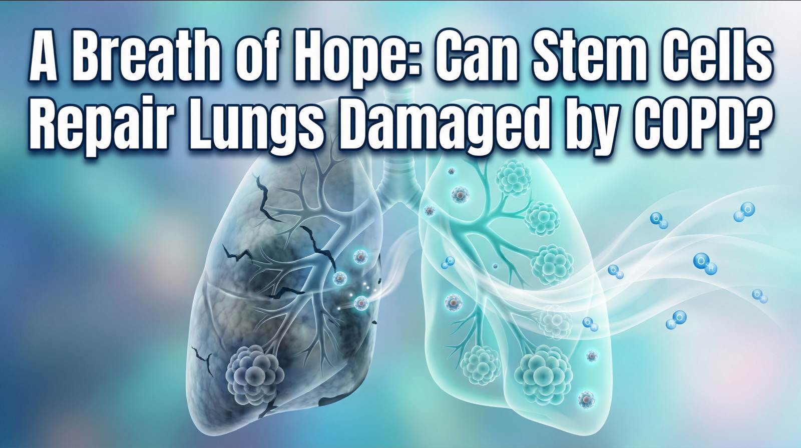 Can Stem Cells Repair Lungs Damaged by COPD