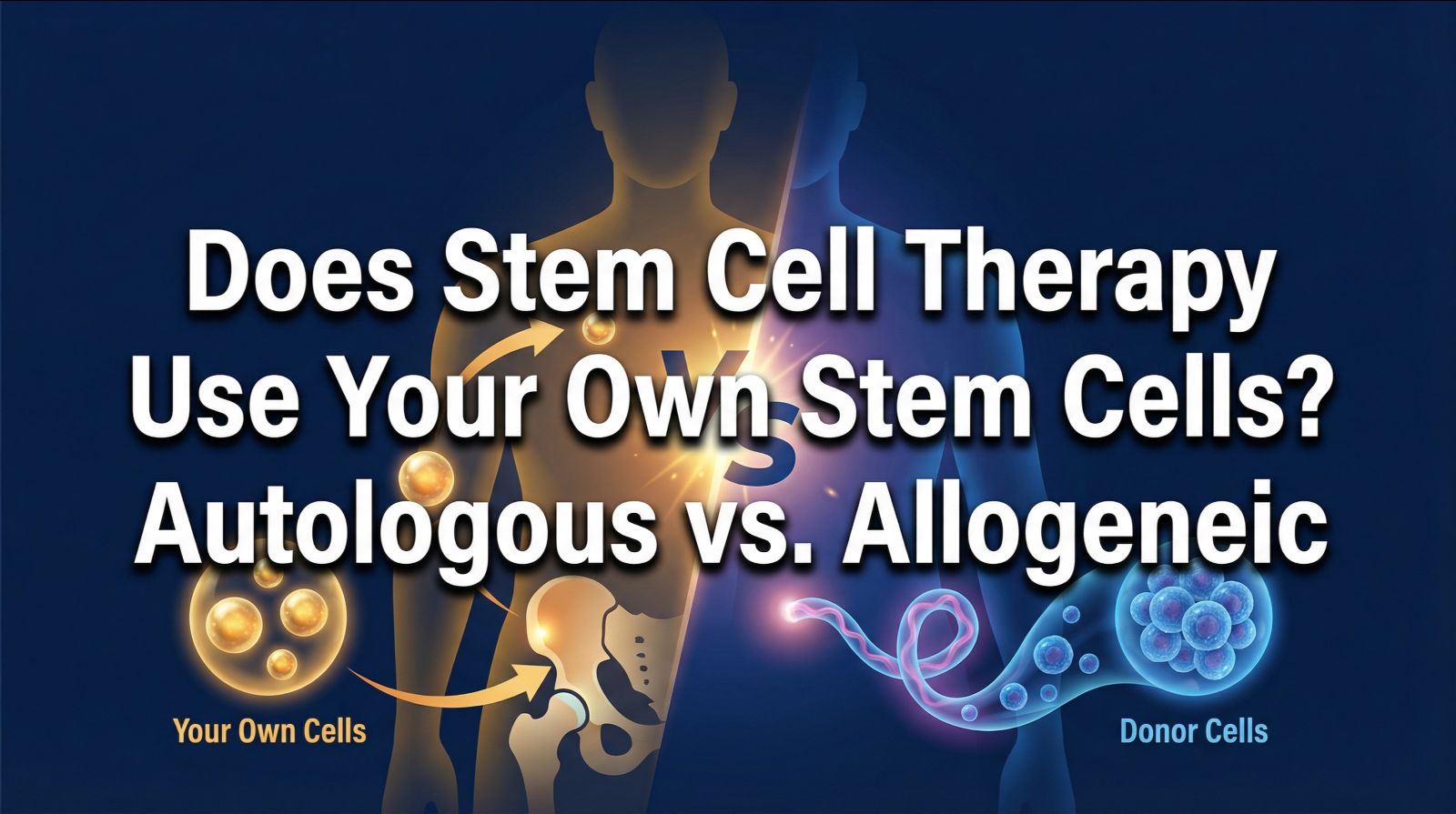 Autologous vs allogeneic stem cells